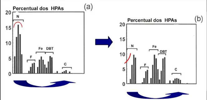 Figura 2.4. Variação da distribuição dos HPA em amostra de sedimento de Prince 