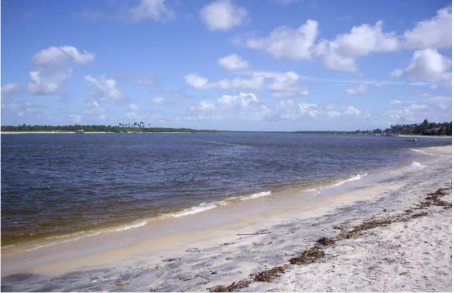 Figura 02 – Vista da entrada do estuário do Rio Curimataú/RN. 