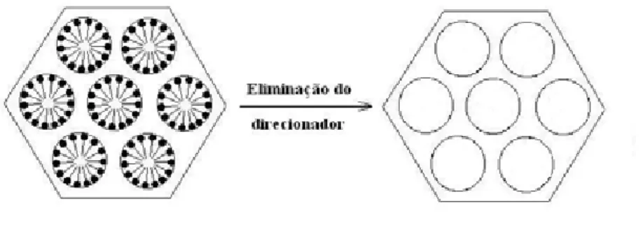 Figura  8  -  Esquema  representativo  da  remoção  do  direcionador  dos  poros  de  materiais  com  arranjo 