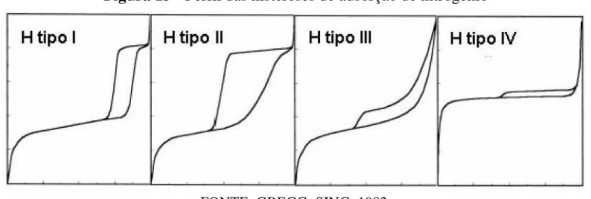 Figura 13 - Perfil das histereses de adsorção de nitrogênio 