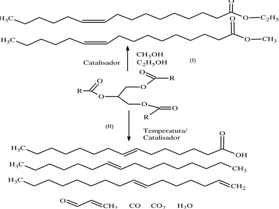 Figura 3.1 : Obtenção de combustíveis líquidos a partir de triglicerídeos pelas reações de: (I)  transesterificação; e (II) craqueamento