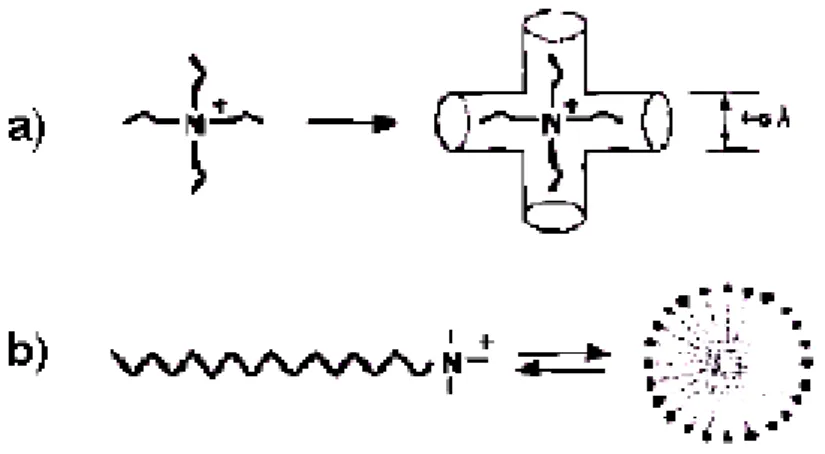 Figura 3.8 : Direcionadores de estrutura: a) alquil amônio quaternário para materiais microporosos e;  b) cetiltrimetil amônio para matérias mesoporosos