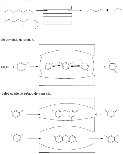 Figura 3.10 : Tipos de seletividade com peneiras moleculares. Fonte: LUNA; SCHUCHARDT (2001)