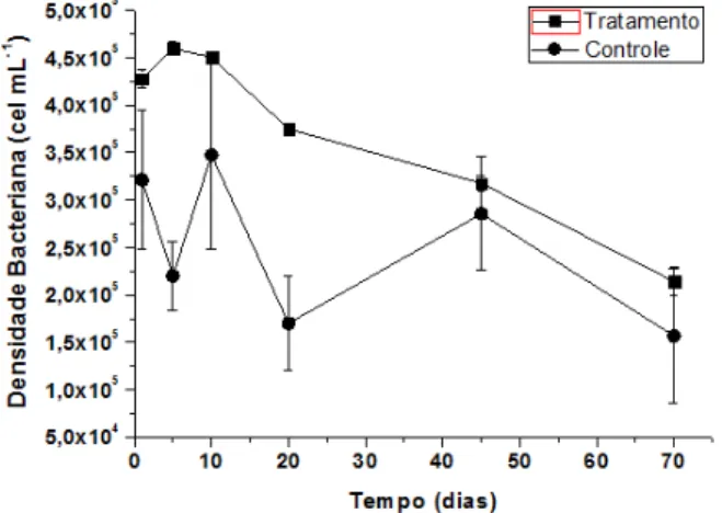 Figura  2  Valores  médios  e  desvios  padrões  da  densidade  bacteriana  aquática  (cel  mL -1 )  controle  e  tratamento nos tempos de incubação (15, 10, 20, 45 e 70 dias), do experimento em microcosmos