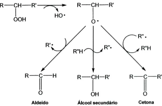 Figura 1-18: Decomposição dos hidroperóxidos em compostos secundários voláteis [46] . 