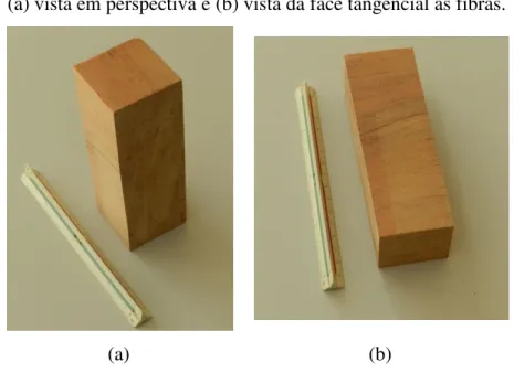Figura 3.9  –  Corpo de prova para ensaio de compressão normal às fibras,                               (a) vista em perspectiva e (b) vista da face tangencial às fibras