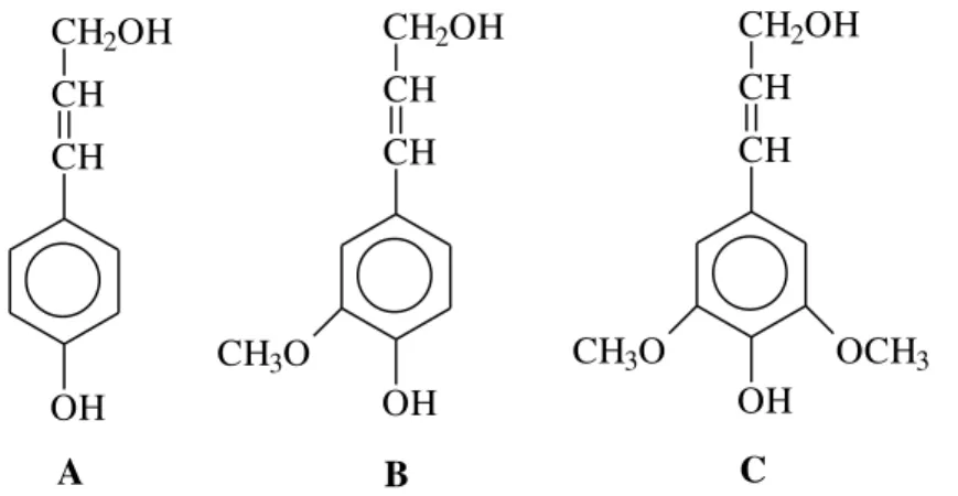 Figura 6 - Alcoóis precursores da lignina: A  –  álcool p-cumarílico; B  –  álcool coniferílico; C  –  álcool sinapílico.