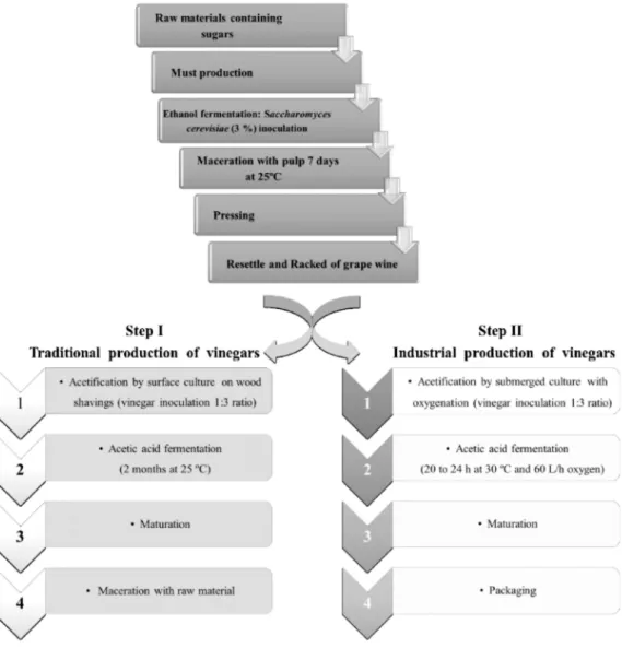 Figure 1. Flowchart showing the general production methods for vinegar [2–4].