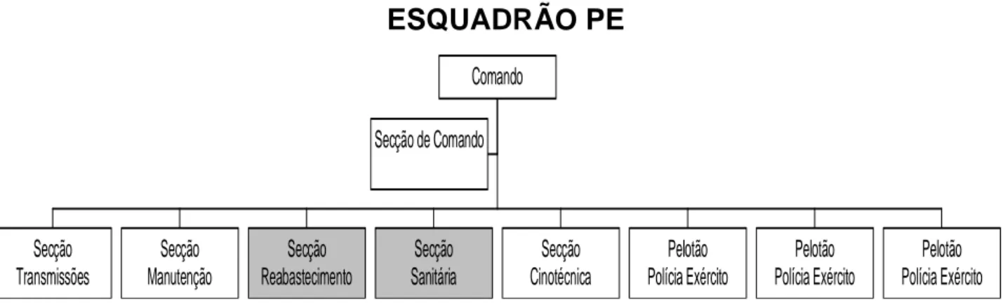 Figura 2.4: Organograma do Esquadrão PE  Fonte: EME (2009, p. 1)     COMANDO DO GRUPO PE 1.º ESQUADRÃO PE  2.º ESQUADRÃO PE Secção de ComandoSecçãoTransmissõesSecçãoManutençãoSecçãoReabastecimentoSecçãoSanitáriaSecçãoCinotécnicaPelotãoPolícia Exército Pelo