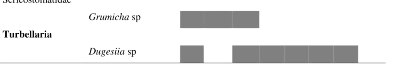 Tabela 1 - Valores referentes às variáveis físicas, químicas, índice de estado trófico (IET), e  pontuação pelo Protocolo de avaliação rápida de hábitats e índice BMWP dos córregos  córregos  da  porção  superior  da  bacia  do  rio  Monjolinho:  Córregos: