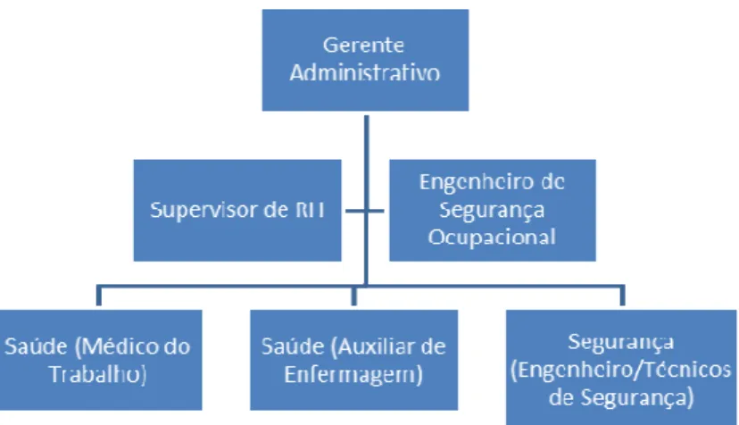 Figura 7. Formação hierárquica do SESMT.         