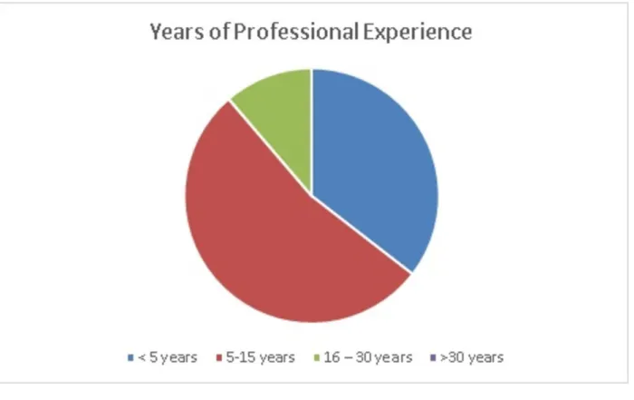 Fig. 1: Professional Experience (years)