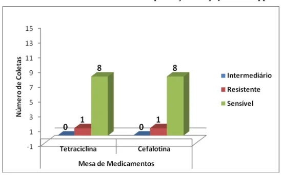 Gráfico 10 - Perfil de resistência à antibióticos em amostras provenientes da mesa de  medicamentos onde foram constatadas presença de Staphylococcus spp