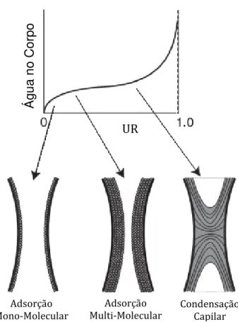 Figura 3.8  Desenho esquemático do processo de adsorção até a condensação  capilar [29]
