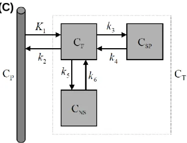 Figura 3.4: Exemplos de modelos compartimentais [26]. (A) Modelo com dois compartimentos (um tecido); (B)  Modelo  com três compartimentos (dois tecidos); (C) Modelo com quatro compartimentos (três tecidos)