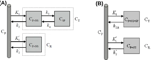 Figura  3.6:  Exemplos  de  modelos  compartimentais  com  região  de  referência.  (A)  Modelo  com  região  de  referência   completo; (B) Modelo com região de referência simplificado