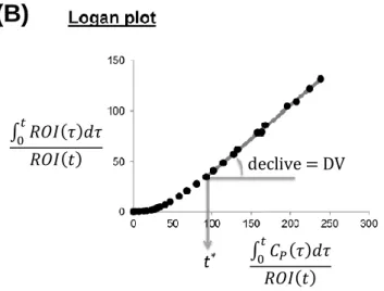 Figura 3.8: Análises de  Patlak e de Logan. A figura mostra um exemplo de um gráfico de Patlak (A) e um exemplo de  um  gráfico  de  Logan  (B),  ambos  usando  a  função  de  entrada  arterial