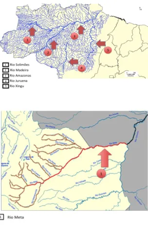 Figura  3:  Mapas  parciais  ilustrando  as  regiões  hidrográficas  onde  foram  amostrados  os  exemplares  de  jaús  estudados  no  presente  trabalho  e  seus  respectivos  rios:  (a)  Bacia  Amazônica (b) Bacia do Rio Orinoco, Rio Meta; (c) Bacia do P
