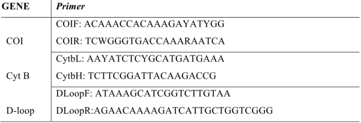 Tabela 1: Sequências dos primers para amplificação dos genes mitocondriais  GENE  Primer  COI  COIF: ACAAACCACAAAGAYATYGG  COIR: TCWGGGTGACCAAARAATCA  Cyt B  CytbL: AAYATCTCYGCATGATGAAA CytbH: TCTTCGGATTACAAGACCG  D-loop  DLoopF: ATAAAGCATCGGTCTTGTAA  DLoo