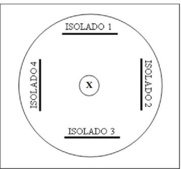 Figura 1. Modelo esquemático de uma placa de  Petri; representando a metodologia para avaliação  massal de antagonismo in vitro dos isolados bacterianos endofíticos do pinhão-manso em relação ao  fungo fitopatogênico