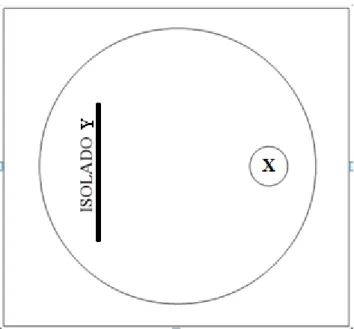 Figura 2. Modelo esquemático de uma placa de  Petri; representando a metodologia para avaliação  massal de antagonismo in vitro dos isolados bacterianos endofíticos do pinhão-manso em relação ao  fungo  fitopatogênico