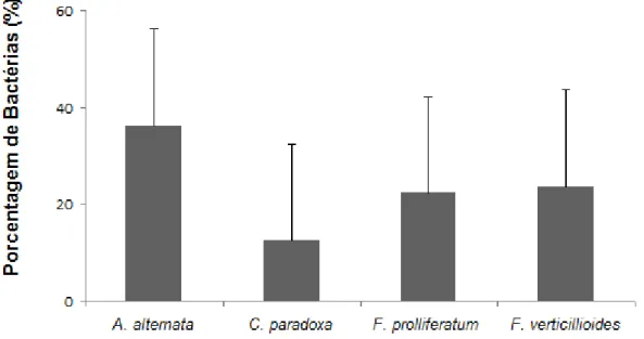 Figura 6. Atividade antagônica dos isolados bacterianos endofíticos contra os fungos fitopatogênicos  Alternaria alternata, Ceratocystis paradoxa, Fusarium prolliferatum e F