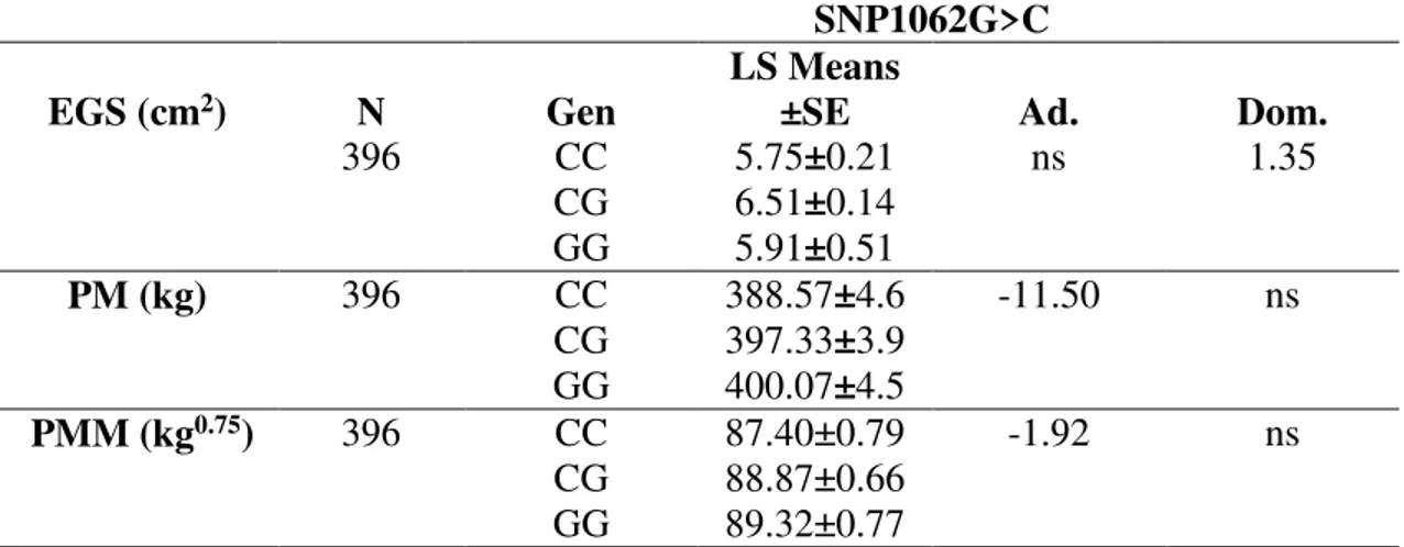 Tabela  5. Resultados  da  análise  de  modelos  mistos  para  a  associação  entre  as  características de produção e o SNP1062G&gt; C do gene NEUROD1 em novilhos da raça  Nelore
