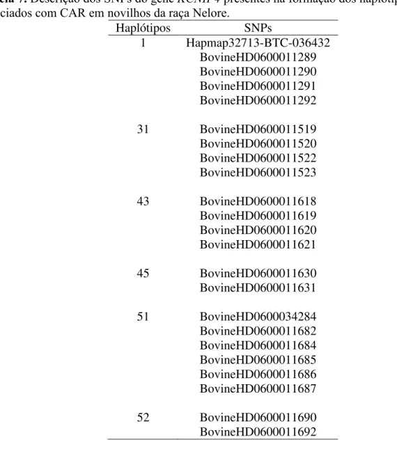 Tabela 7. Descrição dos SNPs do gene KCNIP4 presentes na formação dos haplótipos  associados com CAR em novilhos da raça Nelore