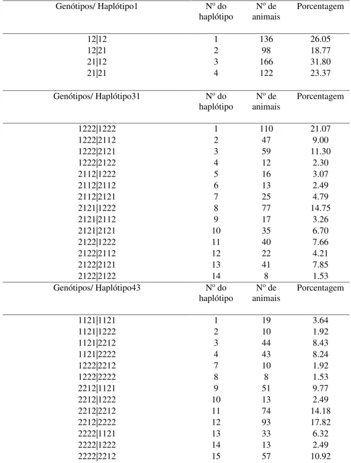 Tabela 8. Frequência genotípica para os haplótipos do gene KCNIP4 associados com CAR  em novilhos da raça Nelore