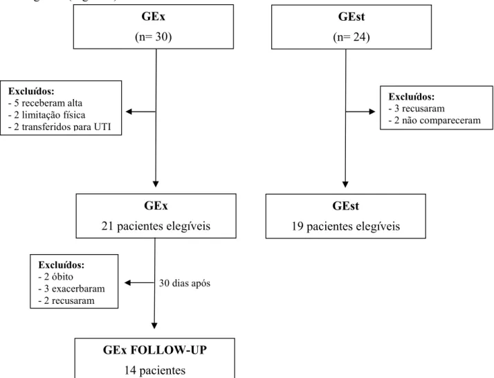 Figura 2 - Fluxograma dos pacientes que participaram do estudo. 