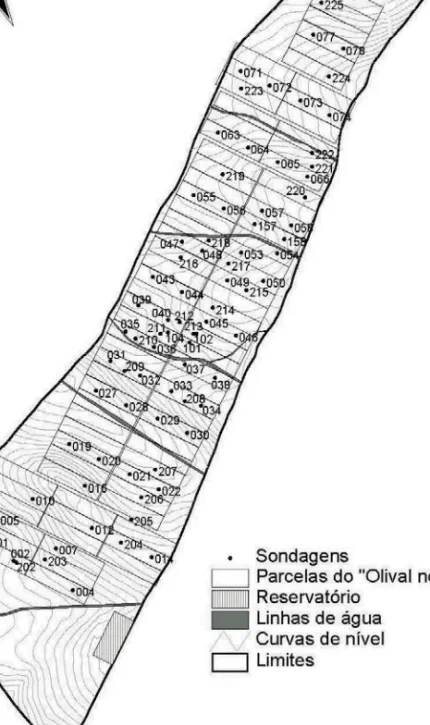 Figura 2 – Parcelas e sondagens realizadas nos solos da área do “Olival Novo”. A área representada  tem 42 ha, a área do estudo de solo (parcelas e áreas adjacentes) 35 ha e as parcelas totalizam cerca de  27 ha