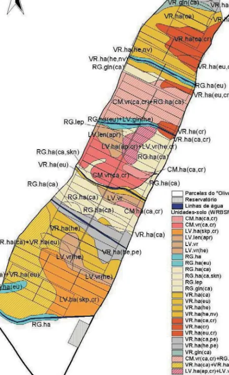 Figura 4 – Unidades da WRBSR (2006) observadas na área do “Olival Novo”. Grupos-Solo de Refe- Refe-rência com qualificadores principais e secundários 