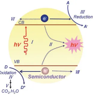 FIGURE 1.2 - Schematic illustration of the principle of semiconductor photocatalysis: (I)  the  formation  of  charge  carriers  by  a  photon;  (II)  the  charge  carrier  recombination  to  liberate heat; (III) the initiation of a reductive pathway by a 