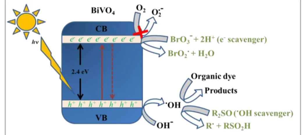 FIGURE  3.8  –  Proposed  mechanism  for  the  photocatalytic  reaction  at  the  BiVO 4 photocatalyst surface in the absence or presence of scavengers