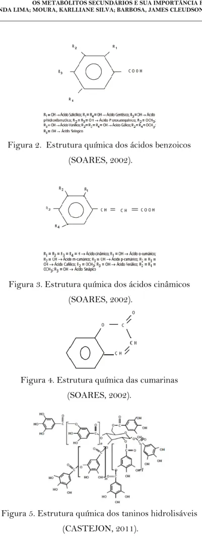Figura 2.  Estrutura química dos ácidos benzoicos   (SOARES, 2002). 
