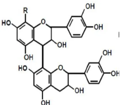 Figura 6. Estrutura química dos taninos condensados   (CASTEJON, 2011). 