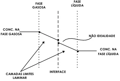 Figura 4.13 - Gradientes de concentrações na interface das fases. 