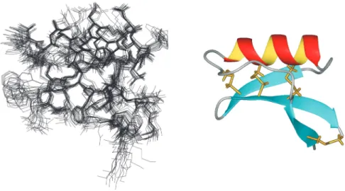 Figura 7: Estrutura da proteína PSD1 obtida em solução por RMN (http://cnrmn.bioqmed.