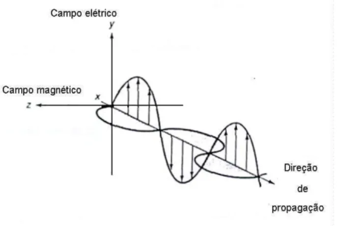 Figura 2.1- Representação de  um feixe de radiação  monocromática  plano-polarizada 