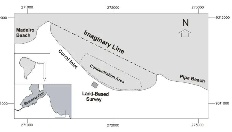 Figura 1 Pipa BeachMadeiroBeachImaginaryLineConcentrationAreaN