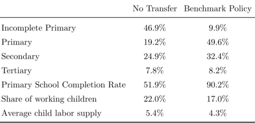 Table 6: Educational and Child Labor Outcomes (Long Run)