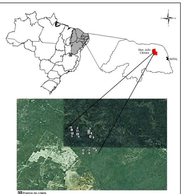 Figura  1:  Mapa de localização dos pontos de coletas da Fazenda Cauaçu, no município de  João Câmara, Rio Grande do Norte, Brasil