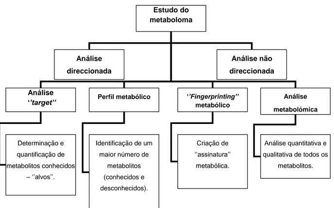 Figura 3 - Estratégias para as análises metabolómicas.   