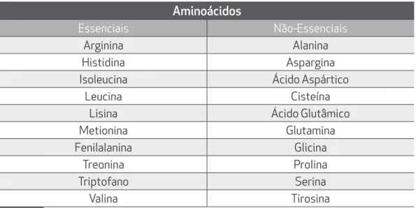 Tabela 1.1.  Os vinte aminoácidos proteinogênicos mais conhecidos.