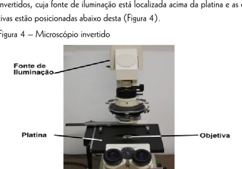 Figura 4 – Microscópio invertido