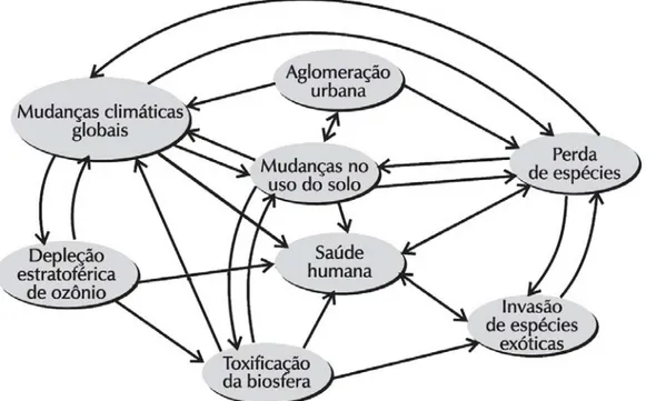 Figura 1 – Principais interações entre processos globais, toxificação da biosfera, uso do solo e saúde humana