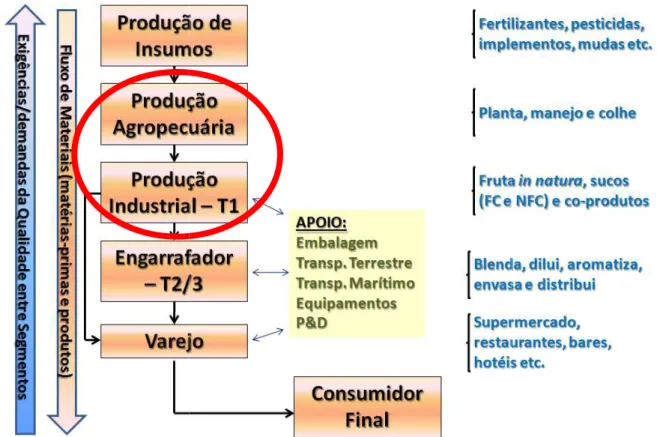 Figura 09. O Sistema Ag