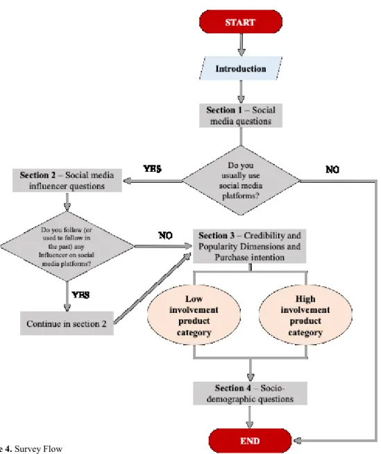 Figure 4. Survey Flow 