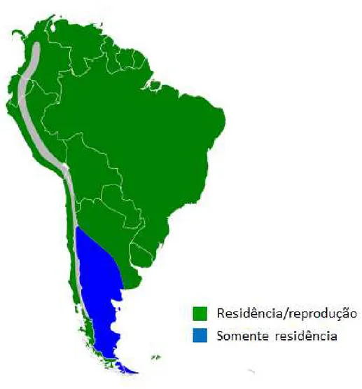 Figura 3. Mapa da distribuição de Bubulcus ibis na América do Sul. No Brasil a espécie é encontrada e se  reproduz em todo território nacional