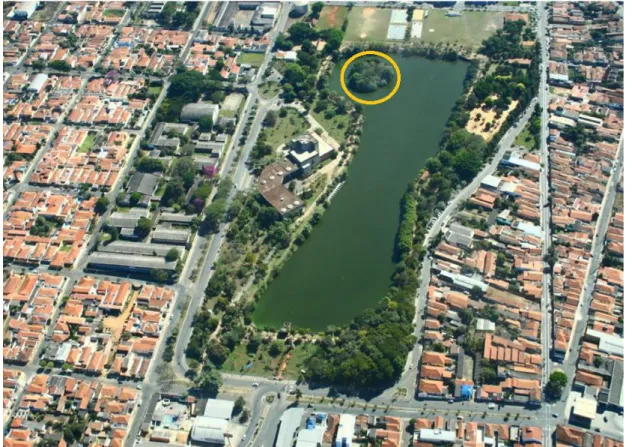 Figura  4.  Foto  aérea  do  Parque  Lago  Azul  no  município  de  Rio  Claro  (SP).  Ressaltado  com  círculo  amarela  a  ilha  na  qual  se  encontra  a  colônia  reprodutiva  na  qual  o  estudo  foi  realizado